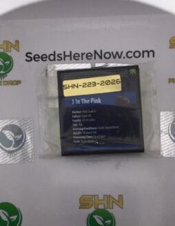 3 In The Pink (Regular) – Exotic Genetix | Vault Release