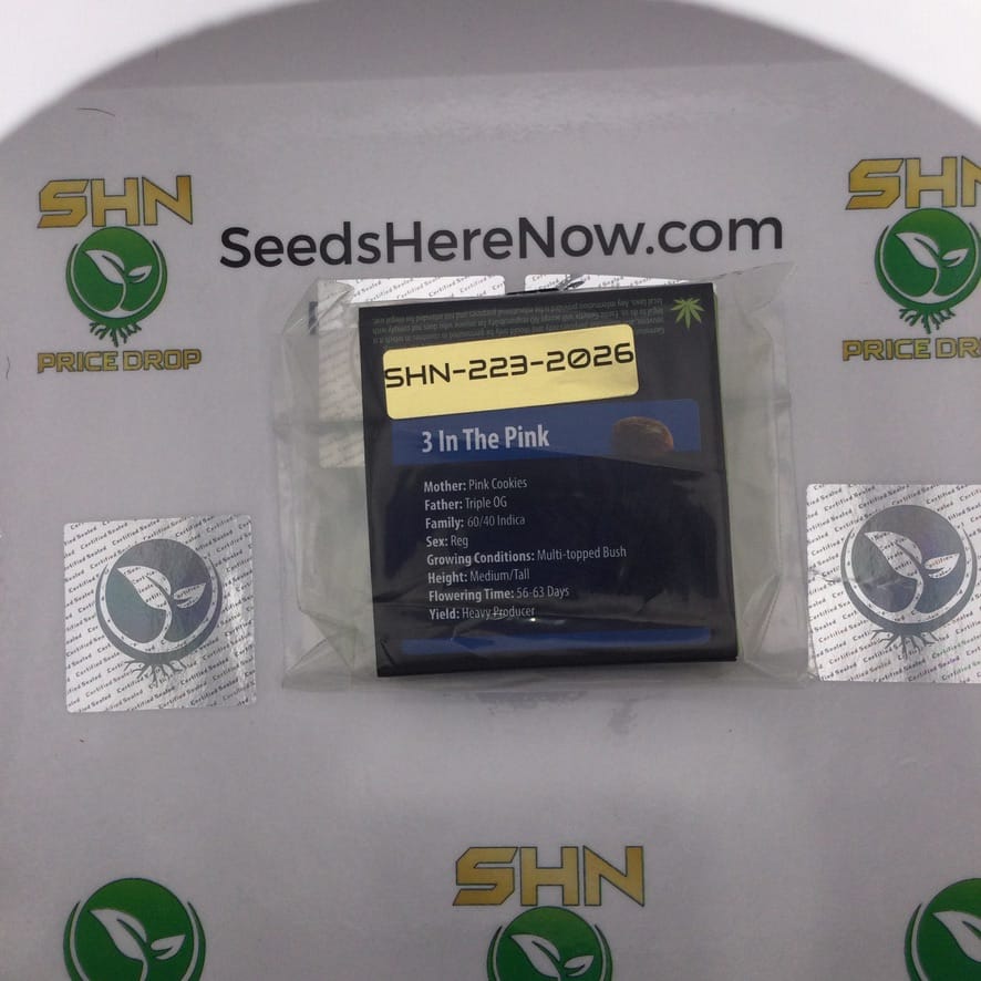 3 In The Pink (Regular) – Exotic Genetix | Vault Release