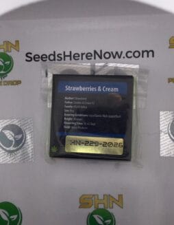 Strawberries & Cream (Regular) – Exotic Genetix | Vault Release