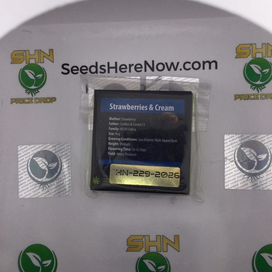 Strawberries & Cream (Regular) – Exotic Genetix | Vault Release