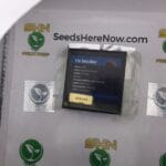 Lip Smacker (Regular) – Exotic Genetix | Vault Release