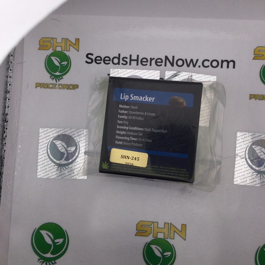 Lip Smacker (Regular) – Exotic Genetix | Vault Release