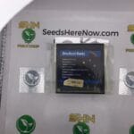 Knockout Runtz (Regular & Feminized) – Exotic Genetix | Vault Release