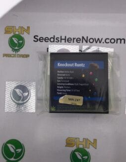 Knockout Runtz (Regular & Feminized) – Exotic Genetix | Vault Release