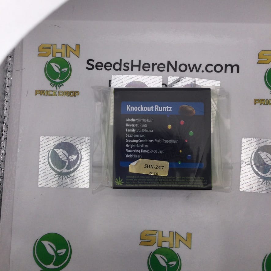 Knockout Runtz (Regular & Feminized) – Exotic Genetix | Vault Release