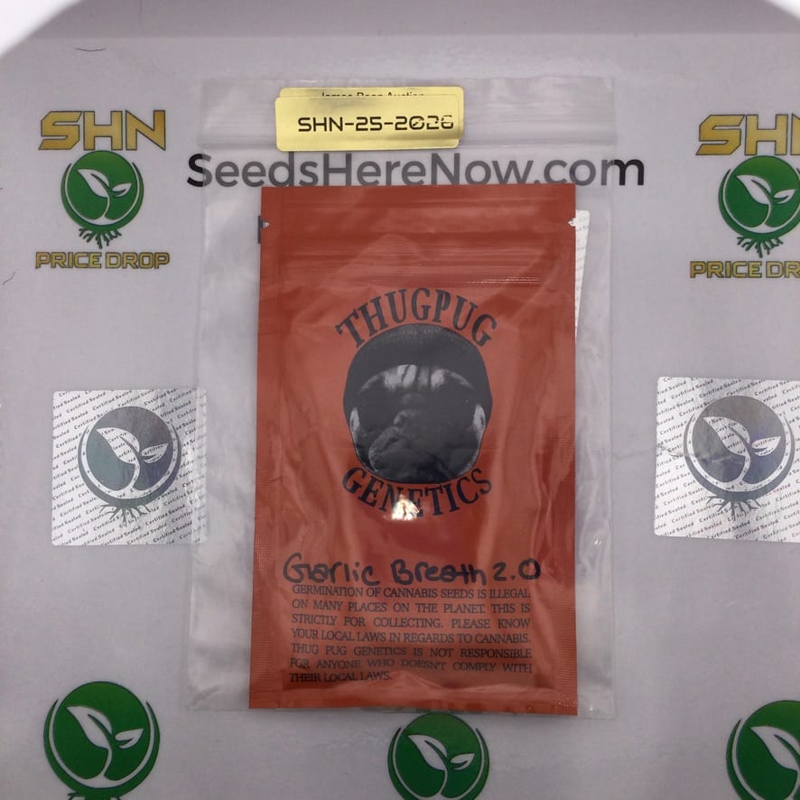 Garlic Breath 2.0 (Regular) – Thug Pug Genetics | Vault Release