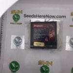 Dreamsicle (Feminized) – Exotic Genetix | Vault Release