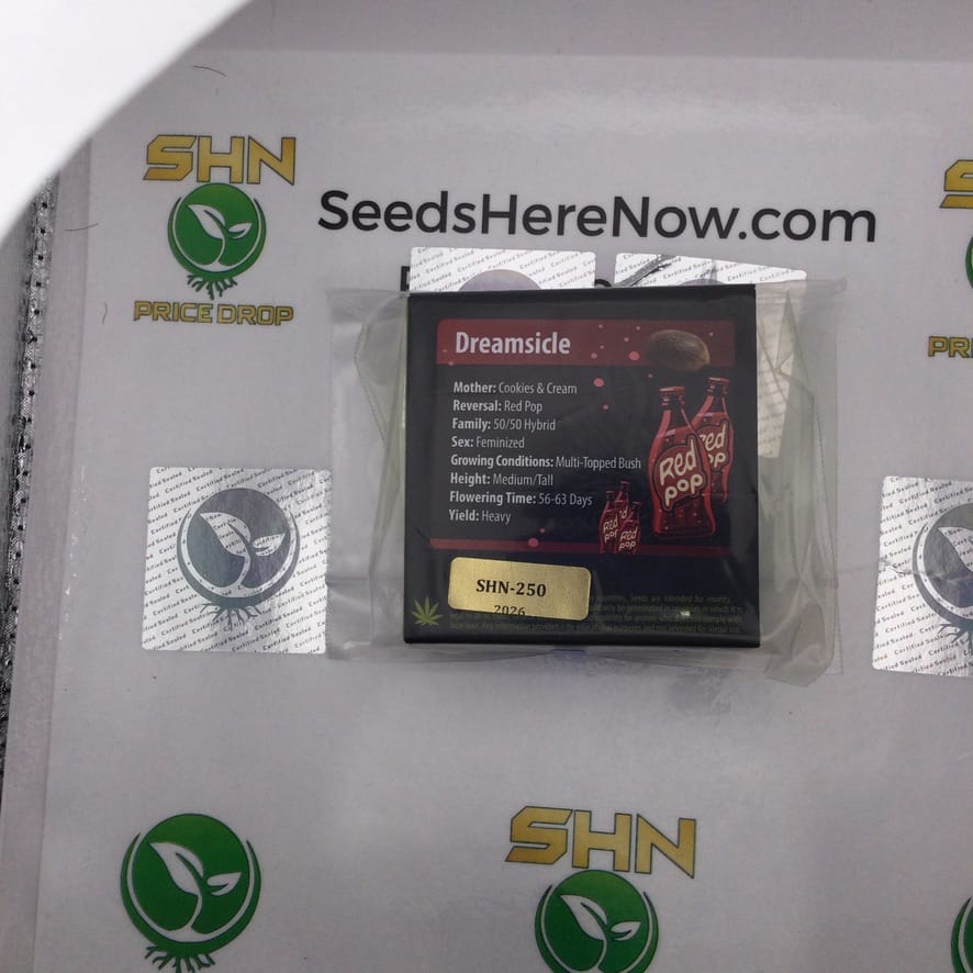 Dreamsicle (Feminized) – Exotic Genetix | Vault Release