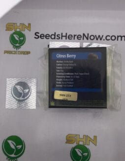 Citrus Berry (Regular) – Exotic Genetix | Vault Release