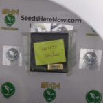 Unknown Strain (No Label) – Exotic Genetix | Vault Release