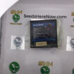 Greasy Runtz (Regular) – Exotic Genetix | Vault Release