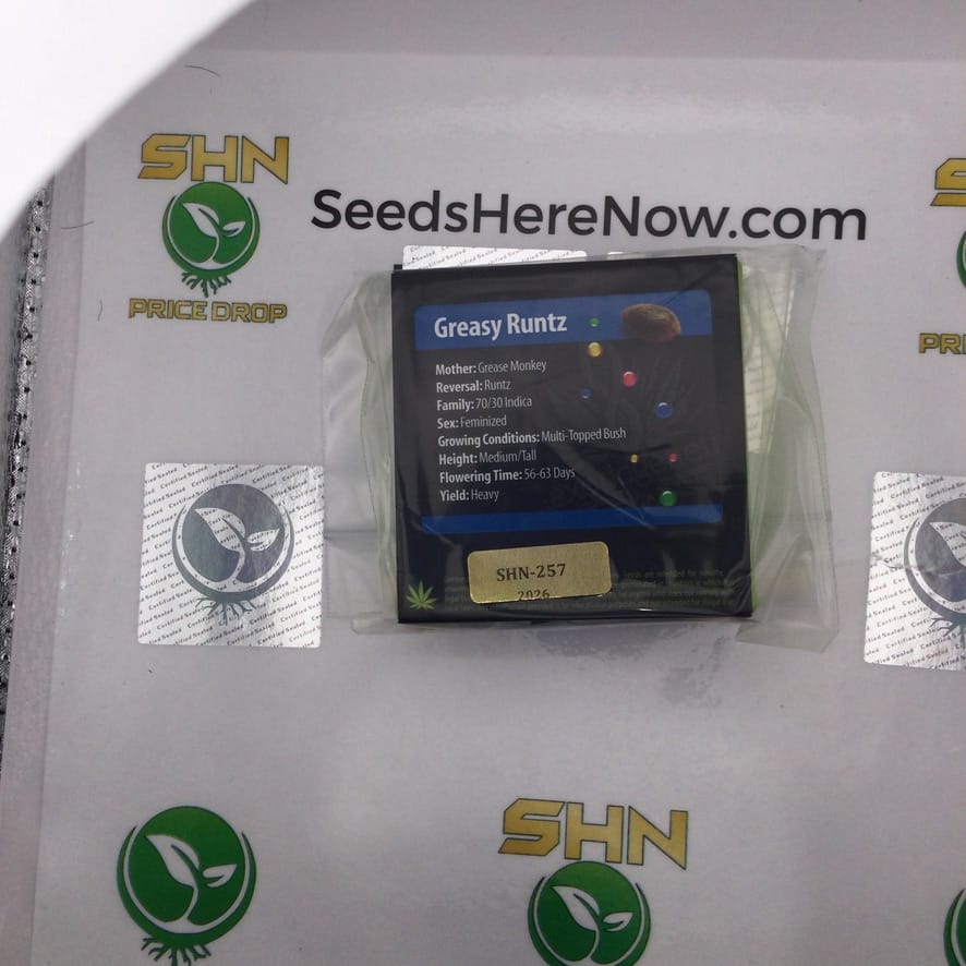 Greasy Runtz (Regular) – Exotic Genetix | Vault Release