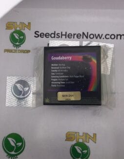 Goudaberry (Feminized) – Exotic Genetix | Vault Release