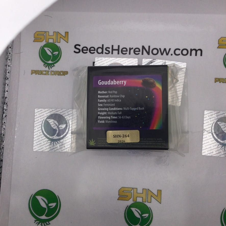 Goudaberry (Feminized) – Exotic Genetix | Vault Release