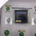 Chocolate Orange Cream (Regular) – Exotic Genetix | Vault Release