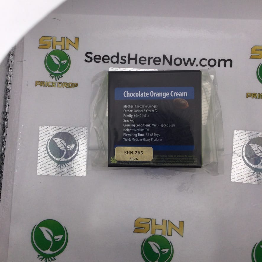 Chocolate Orange Cream (Regular) – Exotic Genetix | Vault Release