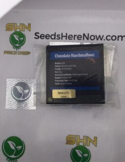 Chocolate Marshmallows (Regular) – Exotic Genetix | Vault Release