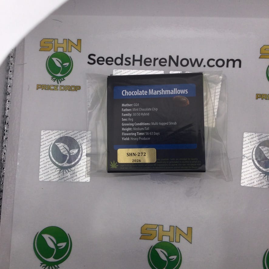 Chocolate Marshmallows (Regular) – Exotic Genetix | Vault Release