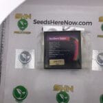 Southern Sugar (Regular) – Exotic Genetix | Vault Release