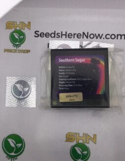 Southern Sugar (Regular) – Exotic Genetix | Vault Release