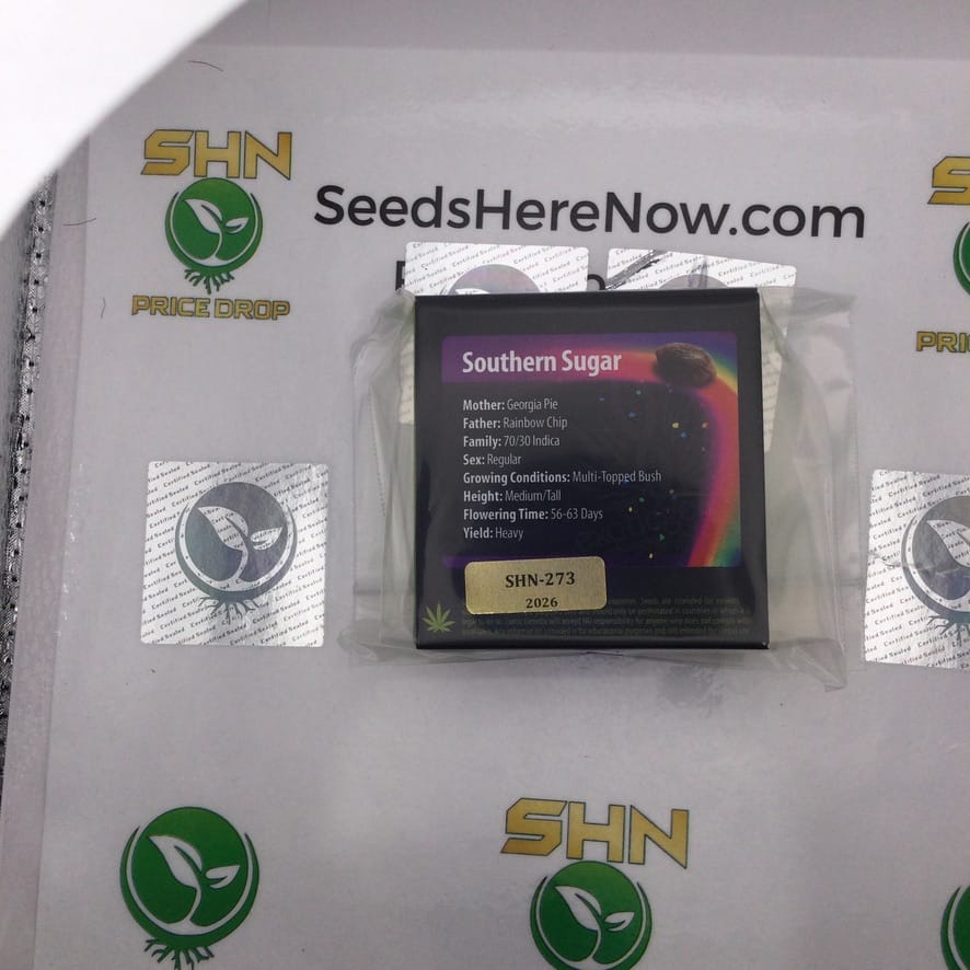 Southern Sugar (Regular) – Exotic Genetix | Vault Release