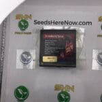 Strawberry Syrup (Regular) – Exotic Genetix | Vault Release