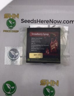 Strawberry Syrup (Regular) – Exotic Genetix | Vault Release