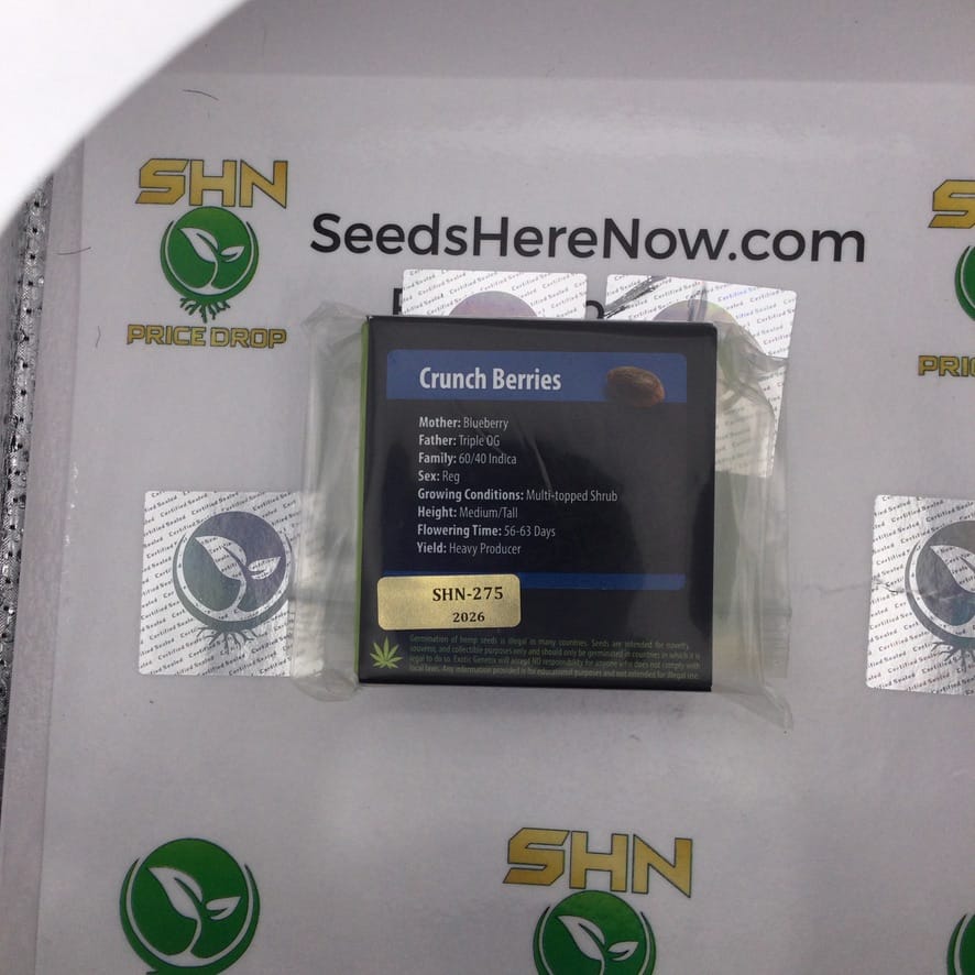 Crunch Berries (Regular) – Exotic Genetix | Vault Release