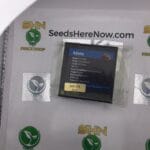 Adonis (Regular) – Exotic Genetix | Vault Release