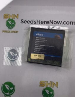 Adonis (Regular) – Exotic Genetix | Vault Release