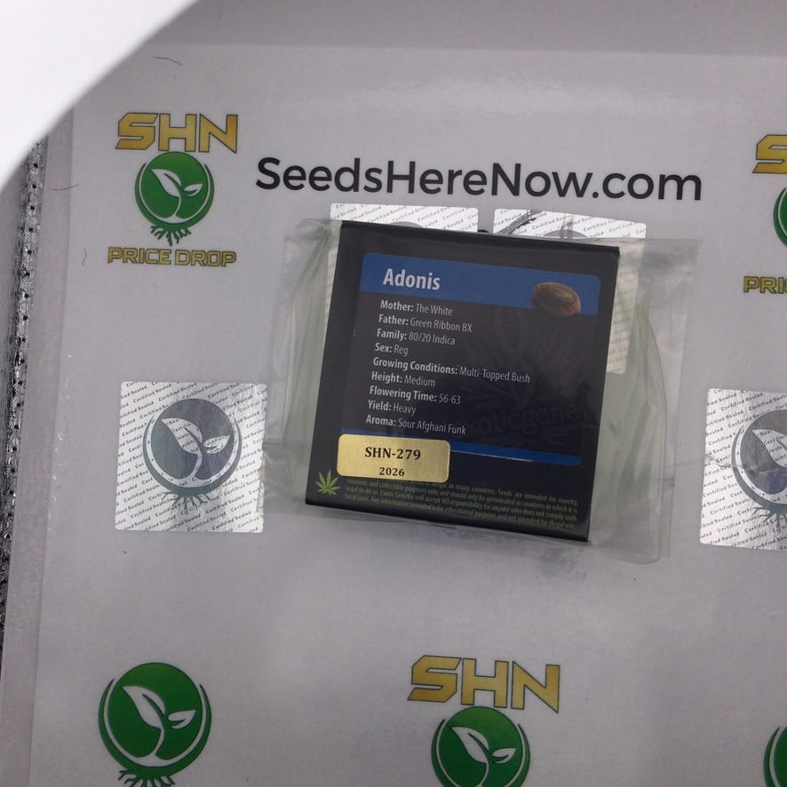 Adonis (Regular) – Exotic Genetix | Vault Release