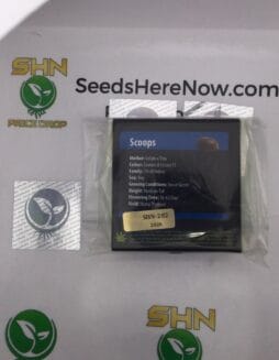 Scoops (Regular) – Exotic Genetix | Vault Release