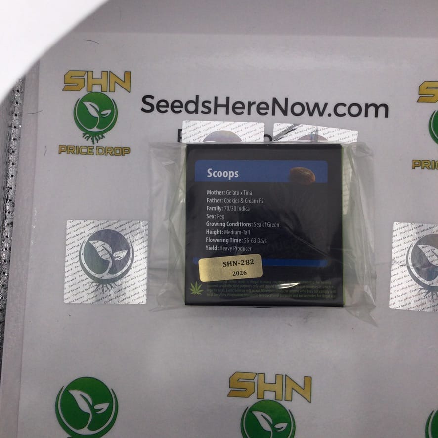 Scoops (Regular) – Exotic Genetix | Vault Release