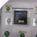 Grape Runtz (Feminized) – Exotic Genetix | Vault Release