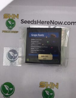 Grape Runtz (Feminized) – Exotic Genetix | Vault Release