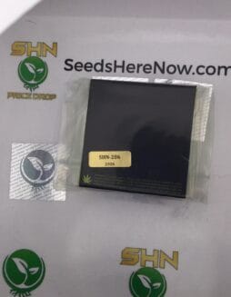 Blue Steel (Regular) – Exotic Genetix | Vault Release