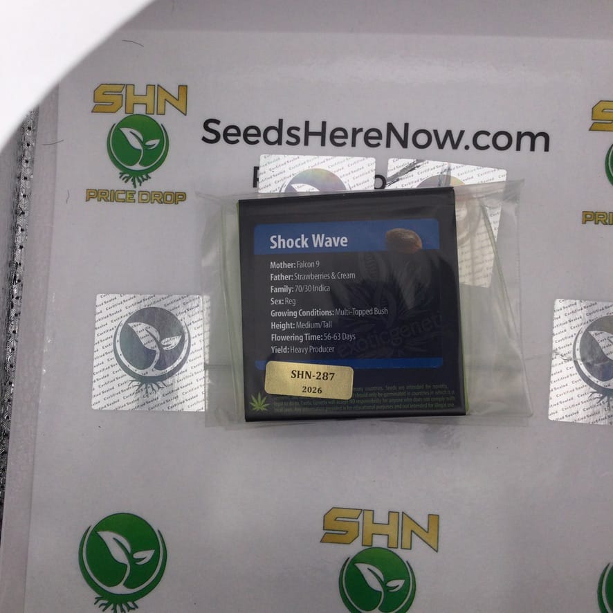 Shock Wave (Regular) – Exotic Genetix | Vault Release