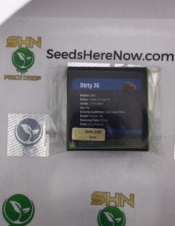 Dirty 30 (Regular) – Exotic Genetix | Vault Release