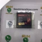 Falcon Berry (Feminized) – Exotic Genetix | Vault Release