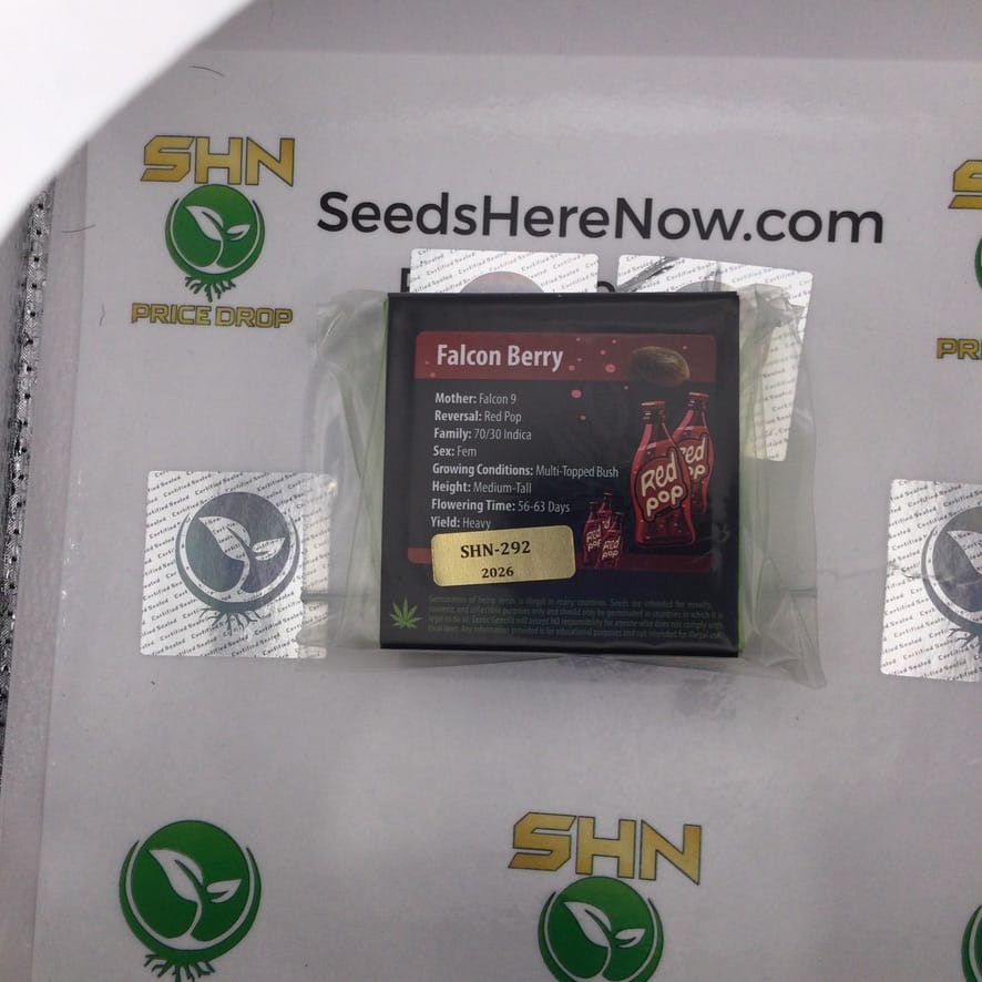 Falcon Berry (Feminized) – Exotic Genetix | Vault Release