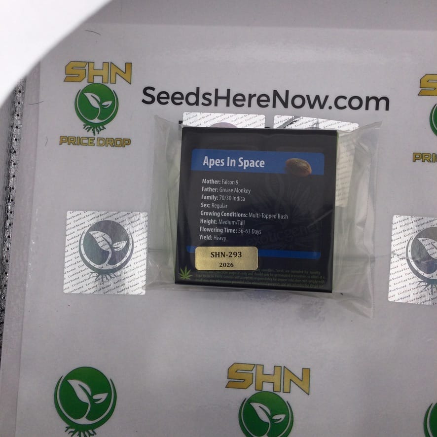 Apes In Space (Regular) – Exotic Genetix | Vault Release