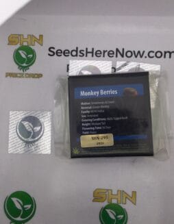 Monkey Berries (Regular) – Exotic Genetix | Vault Release