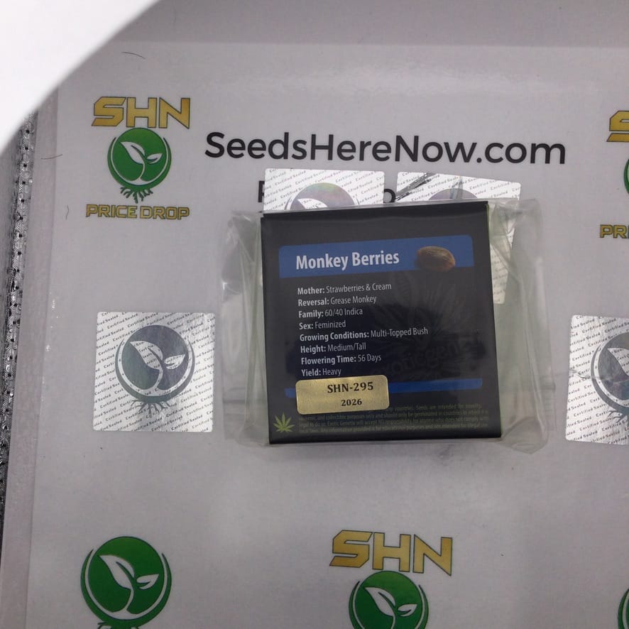 Monkey Berries (Regular) – Exotic Genetix | Vault Release