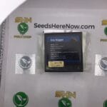 Driz-Nipper (Regular) – Exotic Genetix | Vault Release