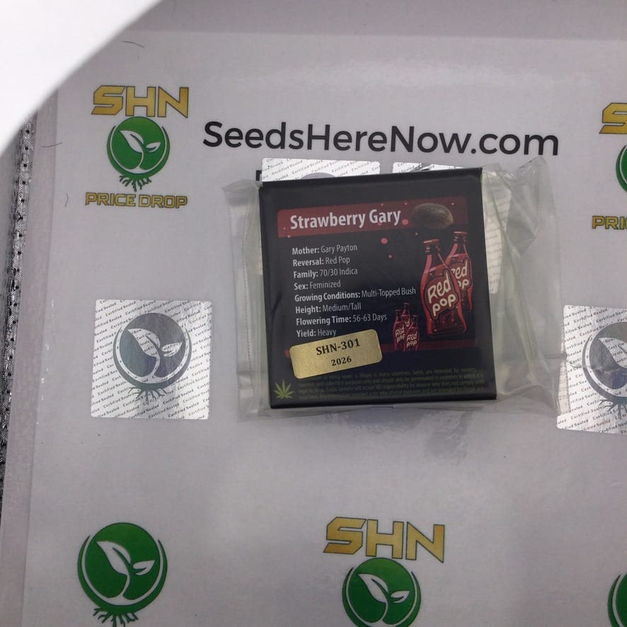 Strawberry Gary (Regular) – Exotic Genetix | Vault Release