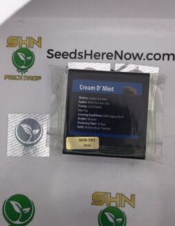 Cream D' Mint (Regular) – Exotic Genetix | Vault Release