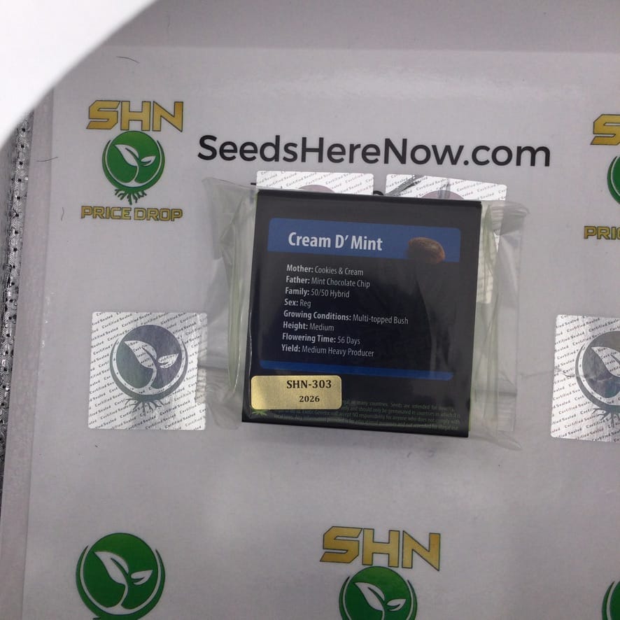 Cream D' Mint (Regular) – Exotic Genetix | Vault Release