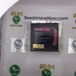 Pressure (Regular) – Exotic Genetix | Vault Release