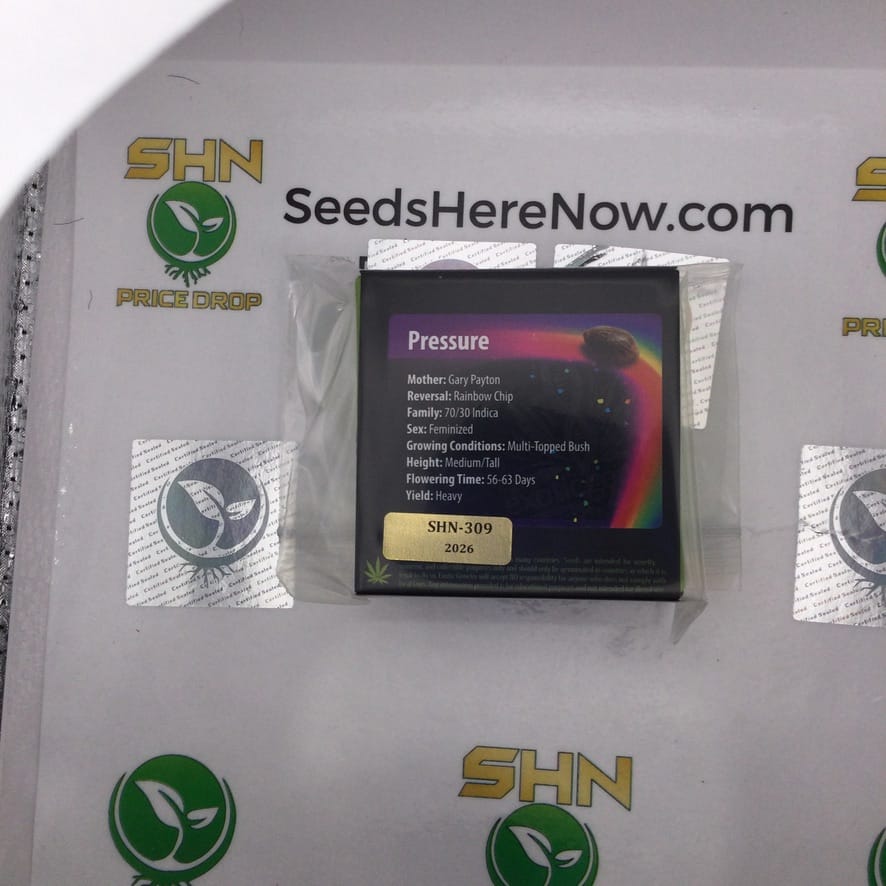 Pressure (Regular) – Exotic Genetix | Vault Release