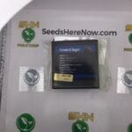 Cream & Sugar (Regular) – Exotic Genetix | Vault Release